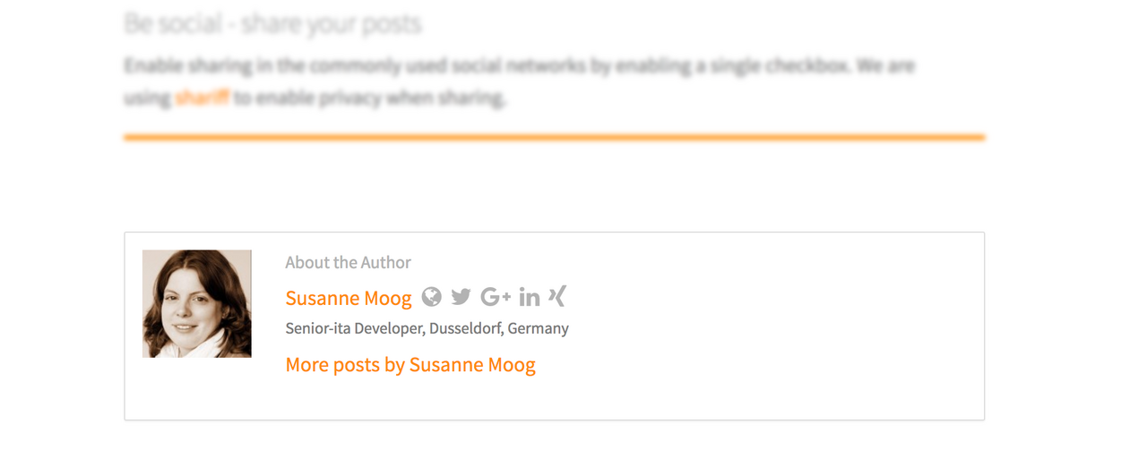 Example of an author box with link to more posts of the author Example of an author box with link to more posts of the author