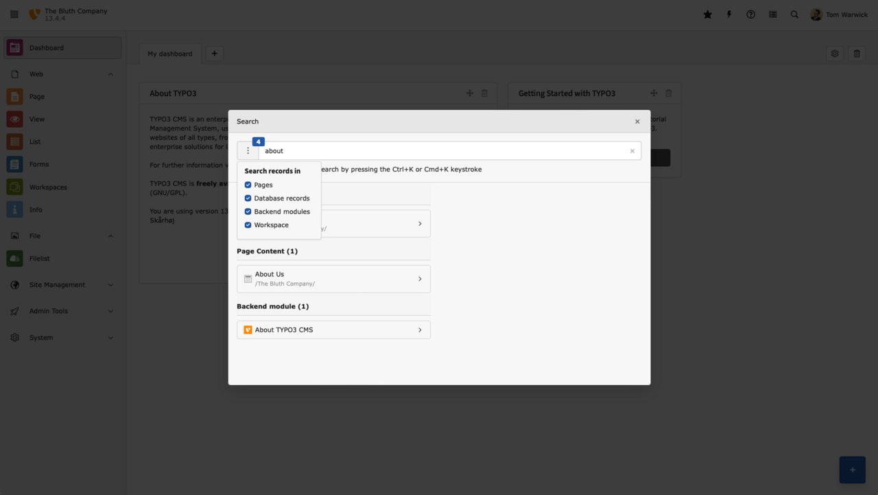 Screenshot des Backend-Suchfelds von TYPO3.